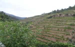Porto-Biarritz 2ème étape : Où nous apprenons à aimer le Porto !