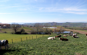 Au loin les Monts du Forez enneigés