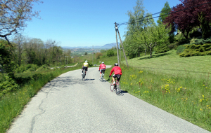 Dans la descente sur Seyssel