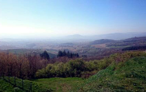 Paysage du Haut Beaujolais