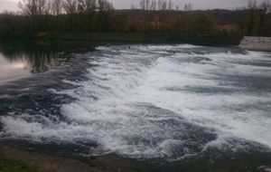 Le Rhône vu de la Via-Rhôna par Patrice en rollerskis le 20 octobre