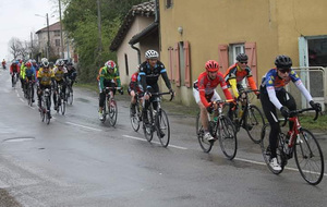 5c8a898866944_Peloton5ecat4.jpg