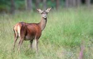 Sortie club au Col de la Biche