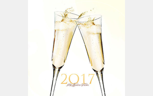 Bonne et Heureuse Année 2017 !