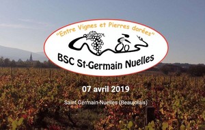 Entre Vignes et Pierres dorées