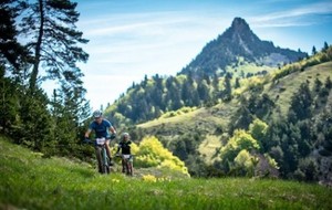 Les Chemins du Soleil