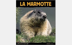La Marmotte Granfondo