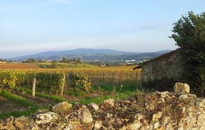 Randonnée du Saucisson chaud 