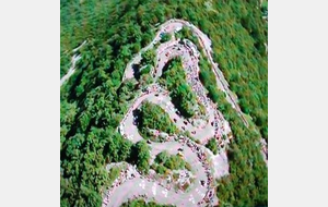 Grimpée en ligne du Grand Colombier