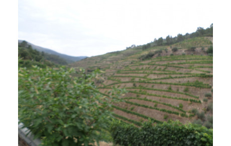 Porto-Biarritz 2ème étape : Où nous apprenons à aimer le Porto !